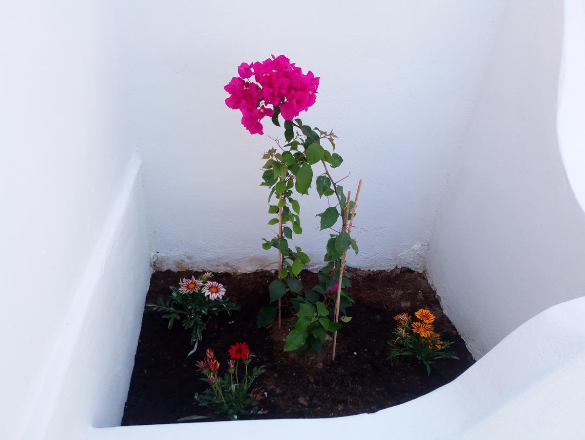Thea Serifos Livadakia Exterior photo